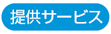 񋟃T[rX